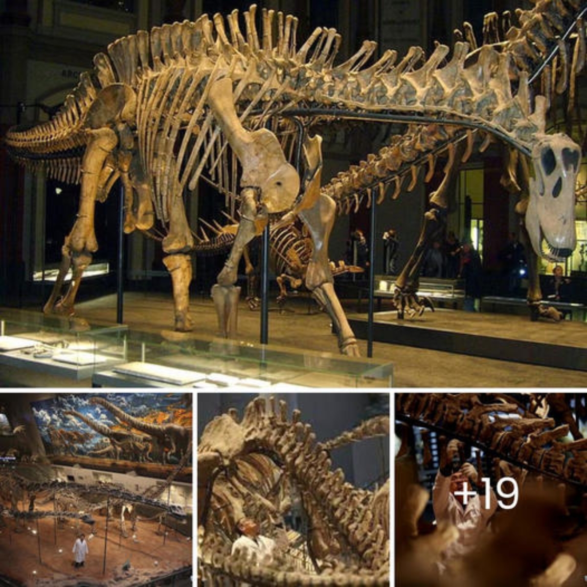 In Chongqing, China, a massive, complete fossil set that dates back